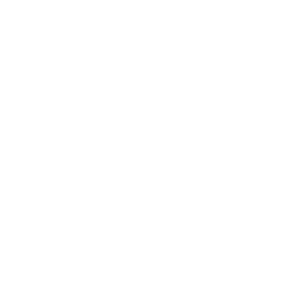 GitHub logo